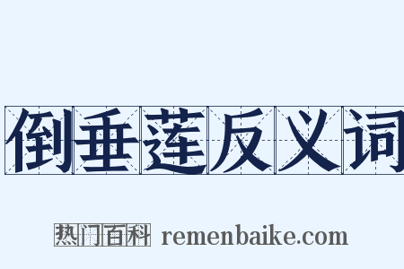 倒垂莲反义词是什么意思的图片